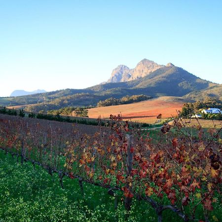 Bed and Breakfast Marianne Wine Estate Stellenbosch Exteriér fotografie
