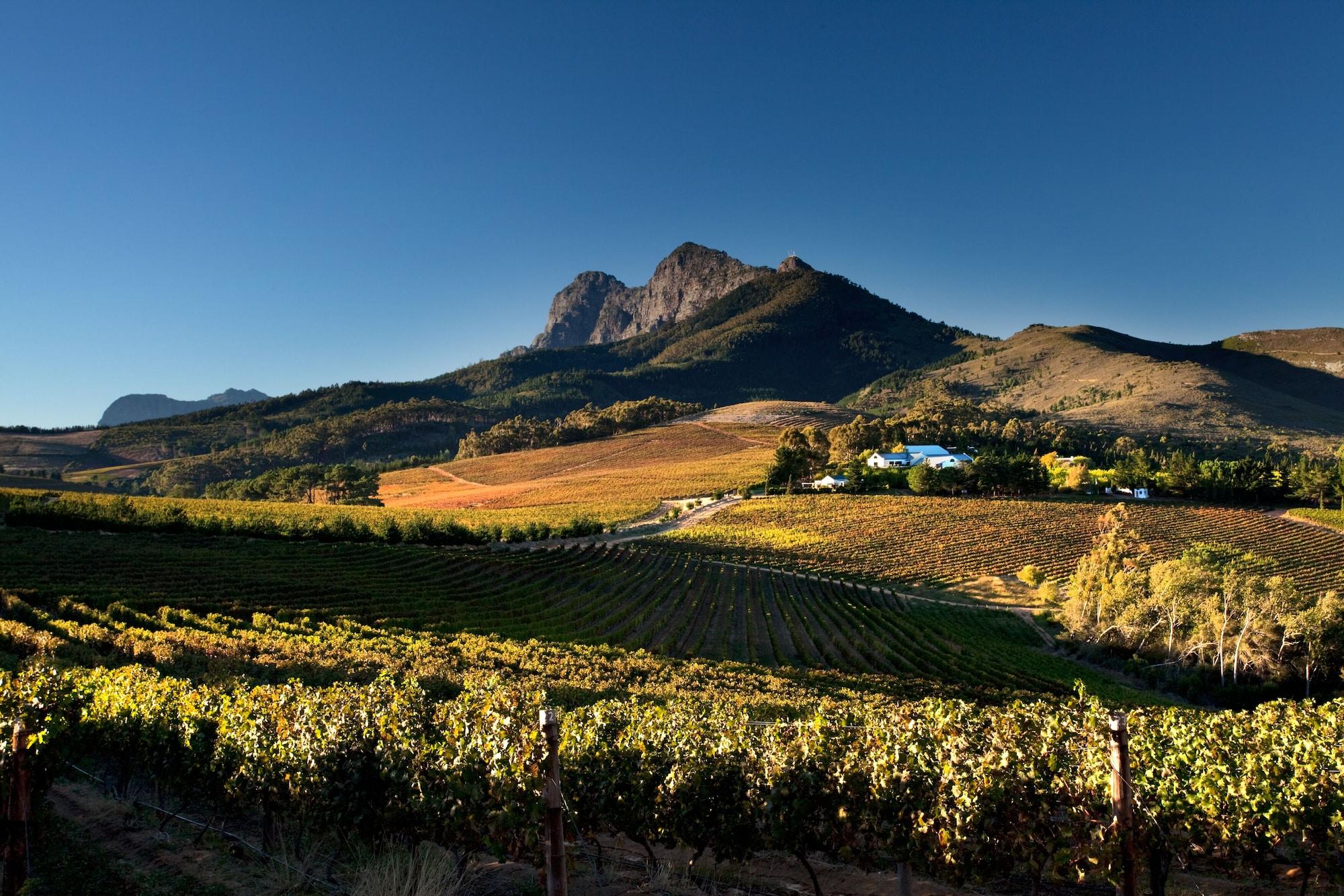 Bed and Breakfast Marianne Wine Estate Stellenbosch Exteriér fotografie