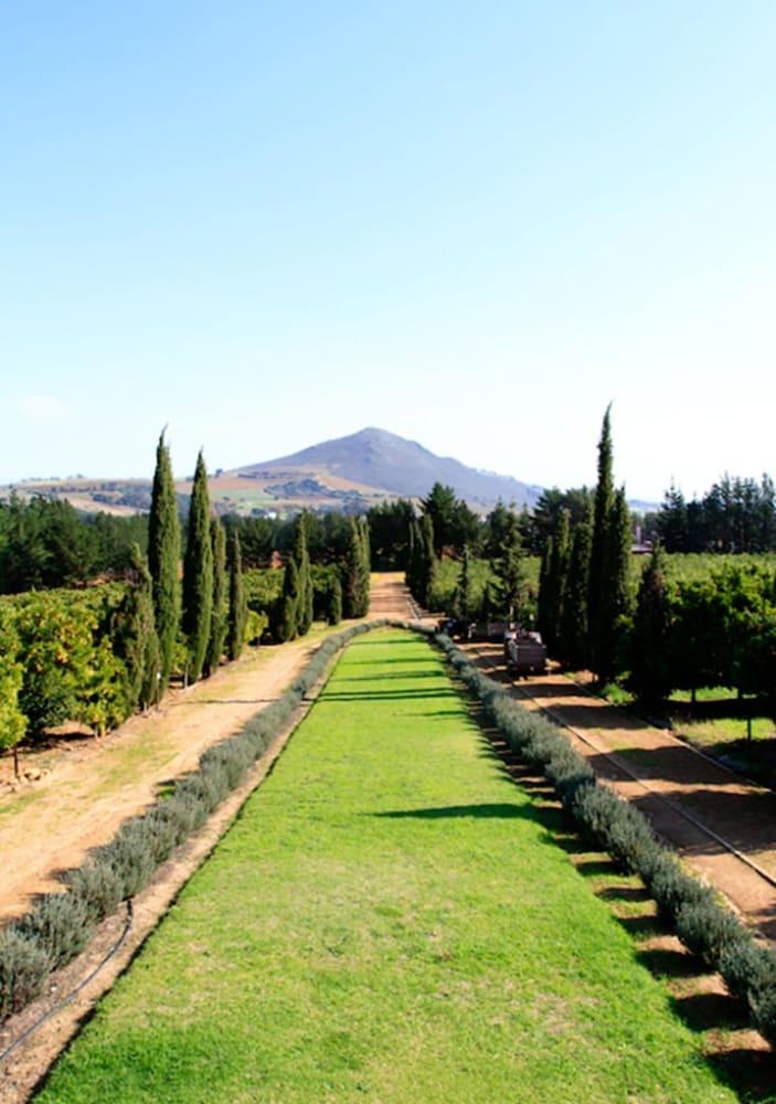 Bed and Breakfast Marianne Wine Estate Stellenbosch Exteriér fotografie