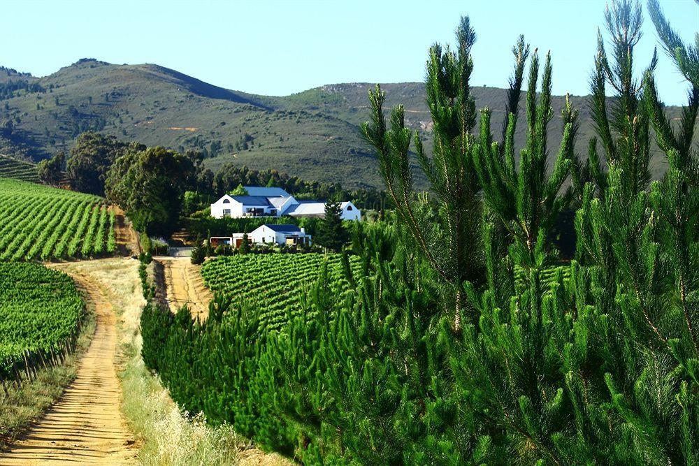 Bed and Breakfast Marianne Wine Estate Stellenbosch Exteriér fotografie