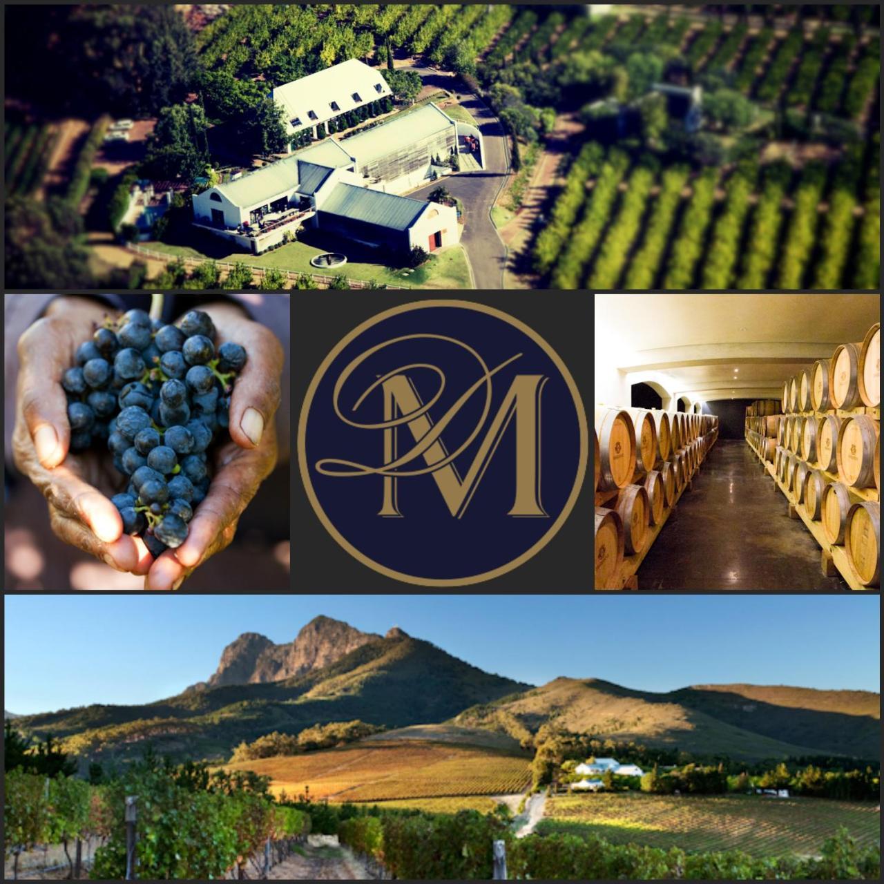 Bed and Breakfast Marianne Wine Estate Stellenbosch Exteriér fotografie